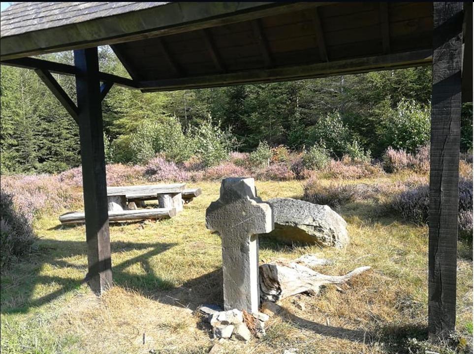 莫斯特住宿加早餐旅馆 Grune 外观 照片